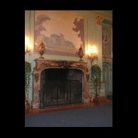 03 One of Several Fireplaces.JPG
